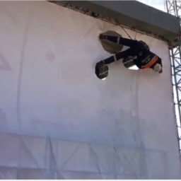 6_31