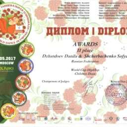 diplom_2_mesto0001