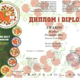 diplom_2_mesto0003