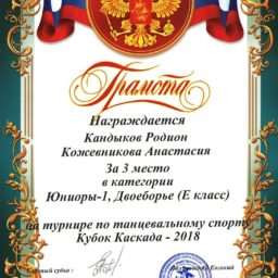 diplom_2_mesto_02