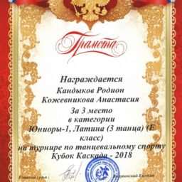 diplom_3_mesto_0